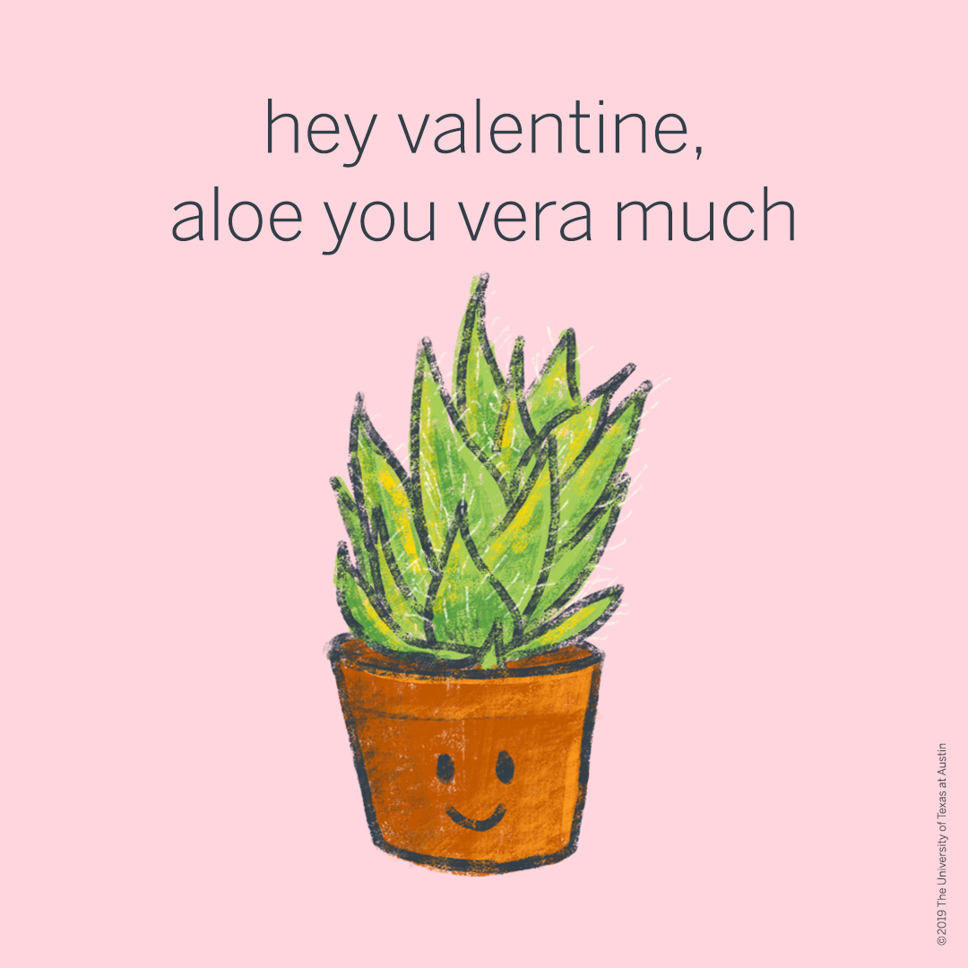 Aloe Valentine